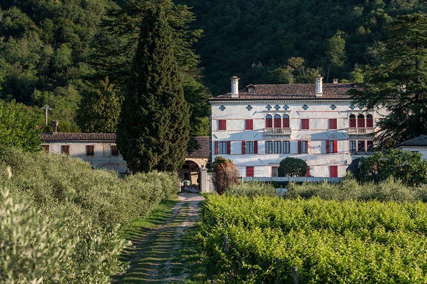Villa Premoli - Agriturismo Di Charme Cavaso Del Tomba Exterior photo